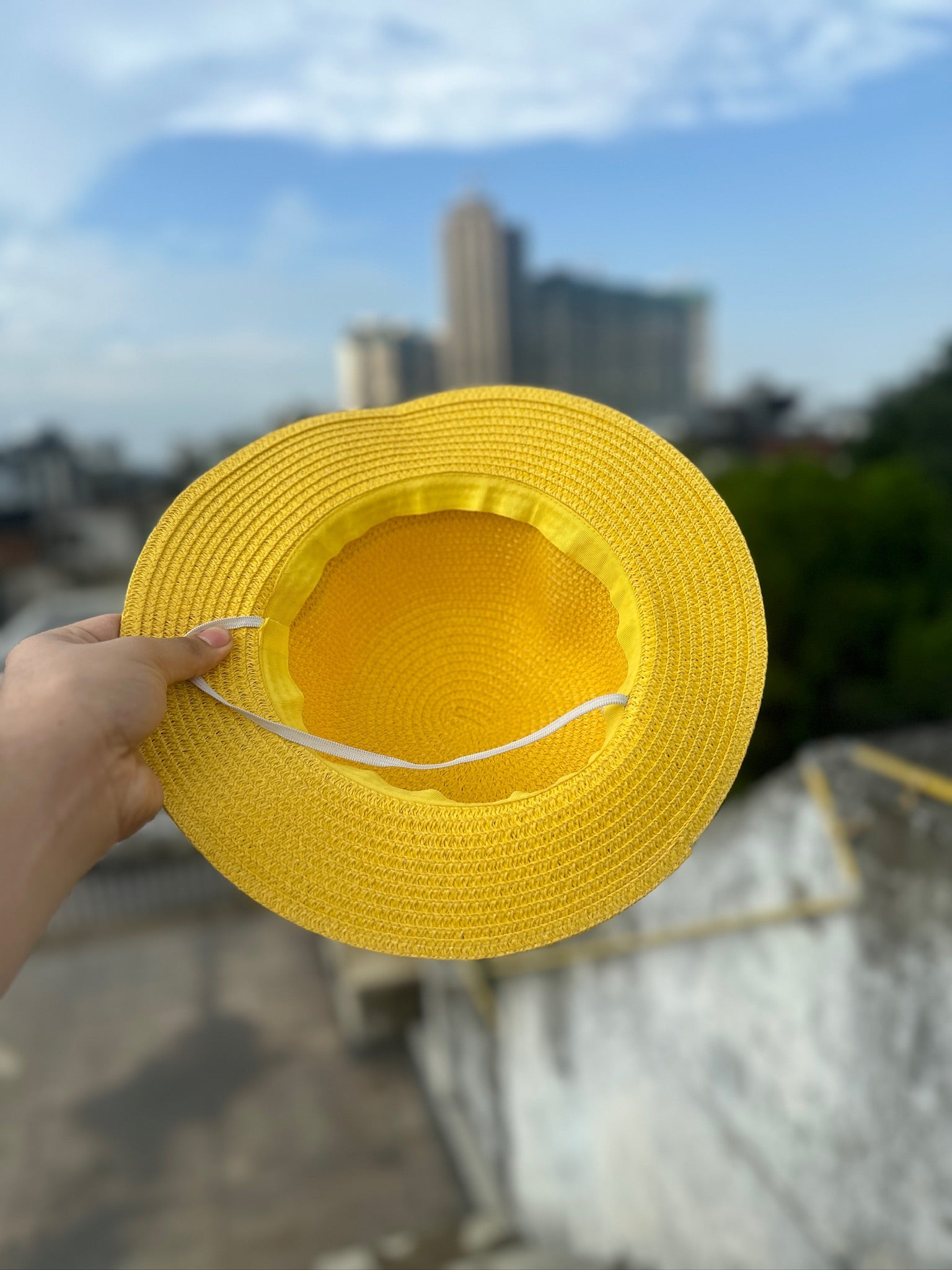 Luffy's Straw Hat – One Piece Edition