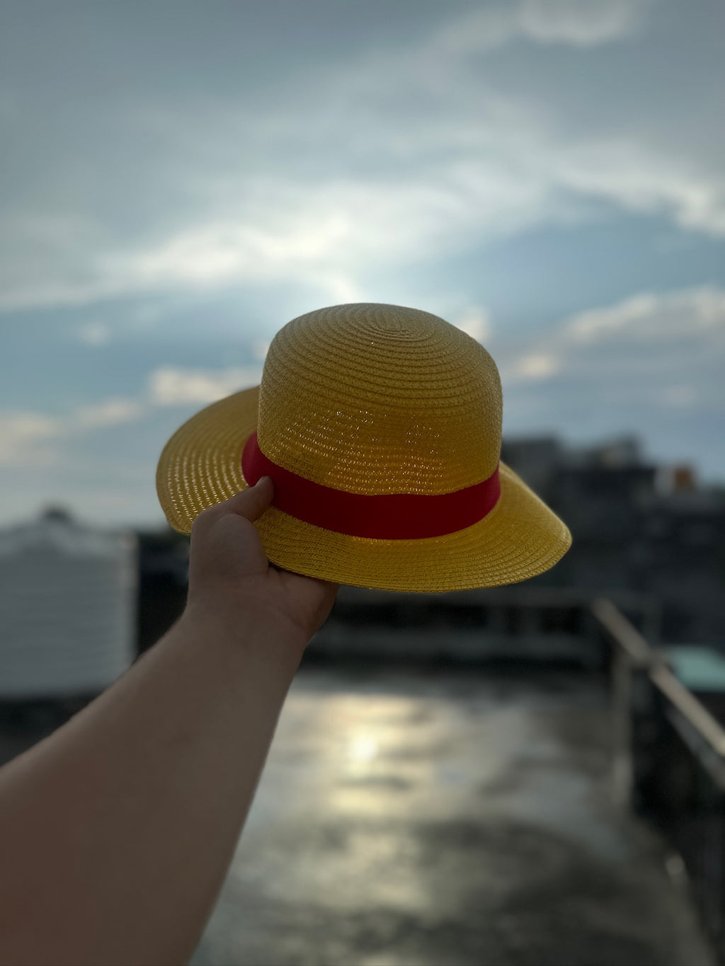 Luffy's Straw Hat – One Piece Edition