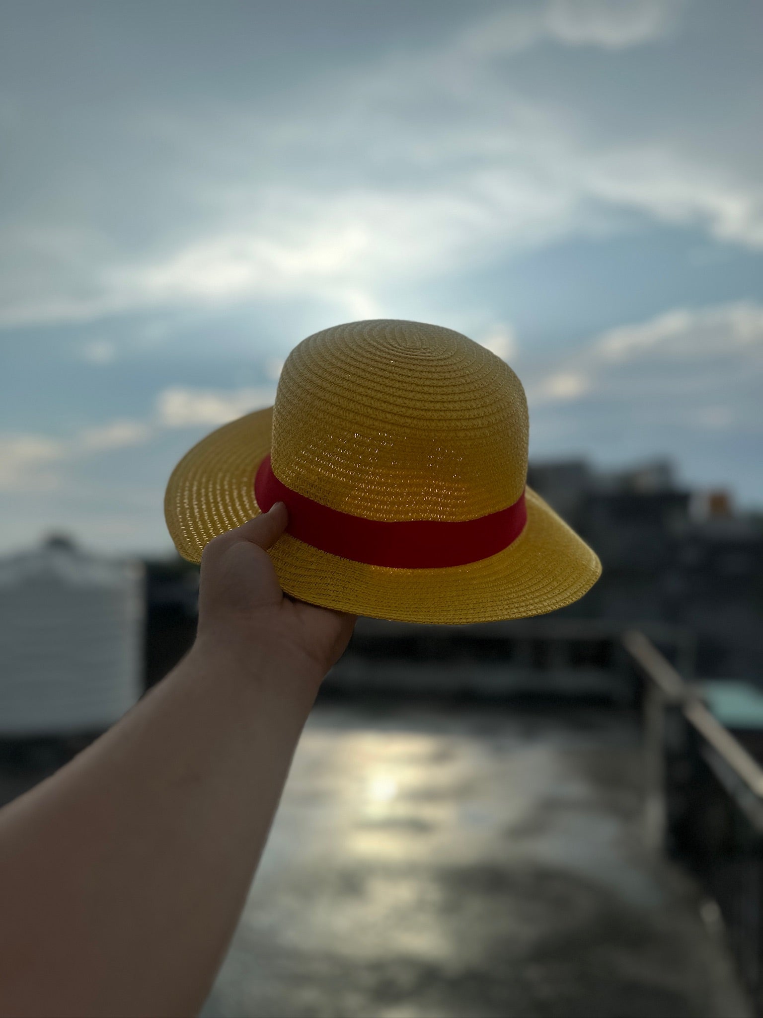 Luffy's Straw Hat – One Piece Edition