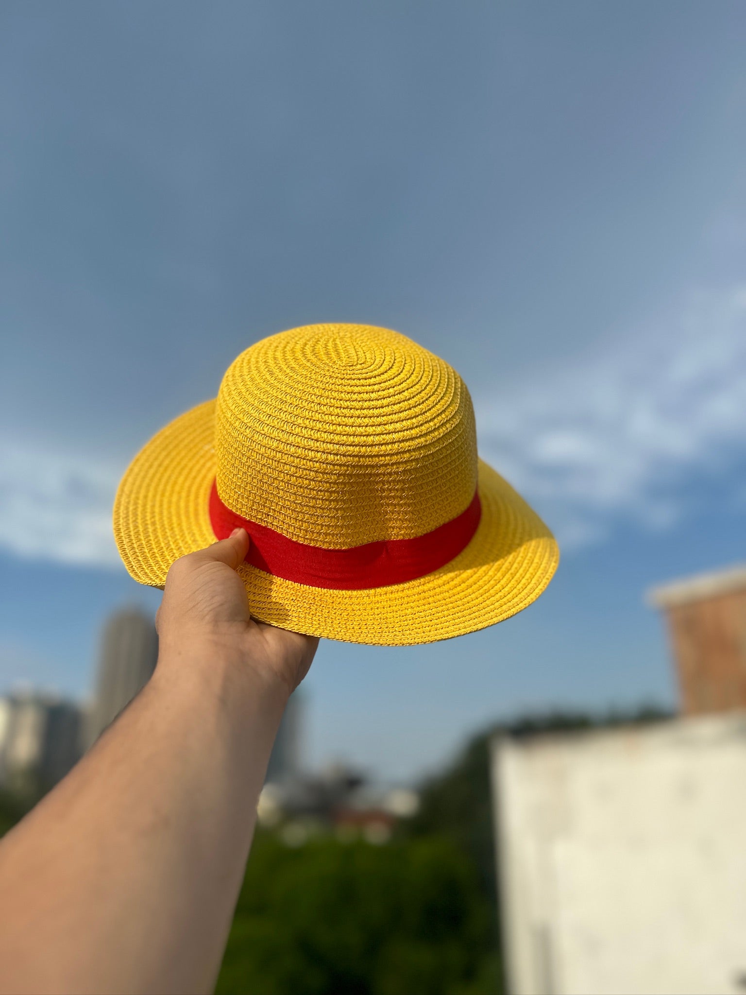 Luffy's Straw Hat – One Piece Edition
