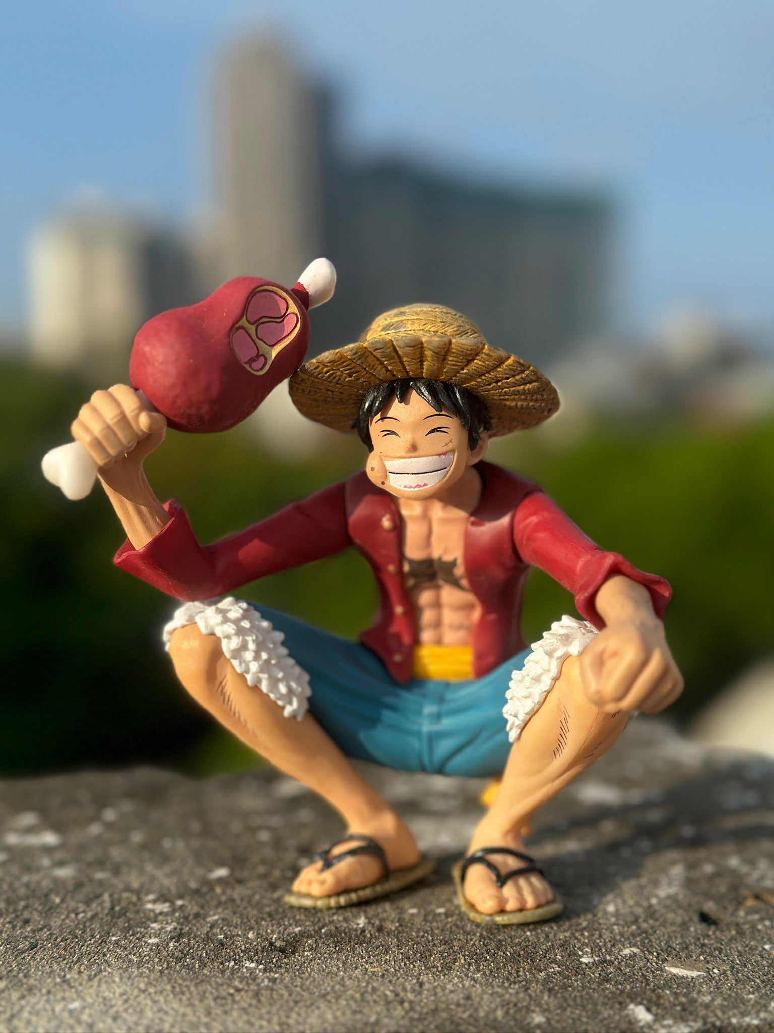 Monkey D. Luffy 10cm - “King of the Meat”